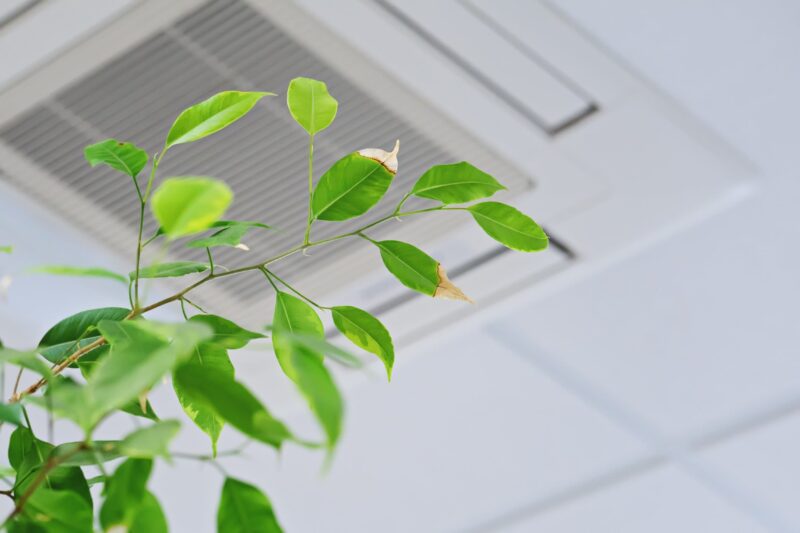 plant in front of ceiling air vent representing clean indoor air quality